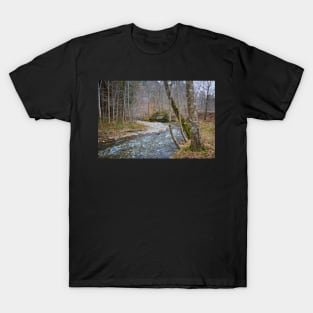 River flowing through mountain T-Shirt